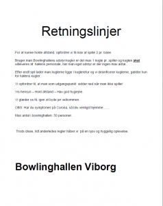Retningslibjer i PDF